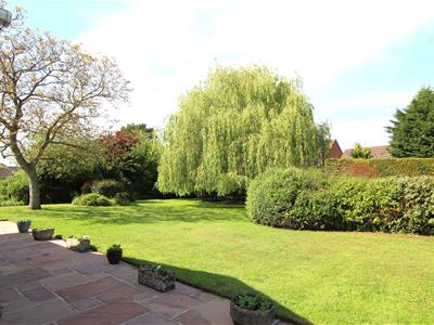 Picture 20